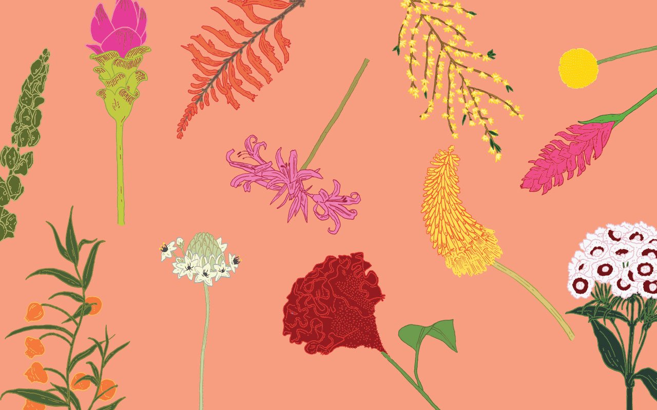 Floraskop: Dein Horoskop für 2019 – natürlich mit Blumen!